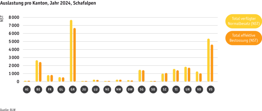 ab25-betrieb-strukturen-grafik-auslastung-schafalpen-d.png