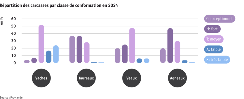 ab25_datentabelle_grafik_politik_prod_viehwirtschaft_fleischigkeitsklasse_f.png Zoom: ab25_datentabelle_grafik_politik_prod_viehwirtschaft_fleischigkeitsklasse_f.png