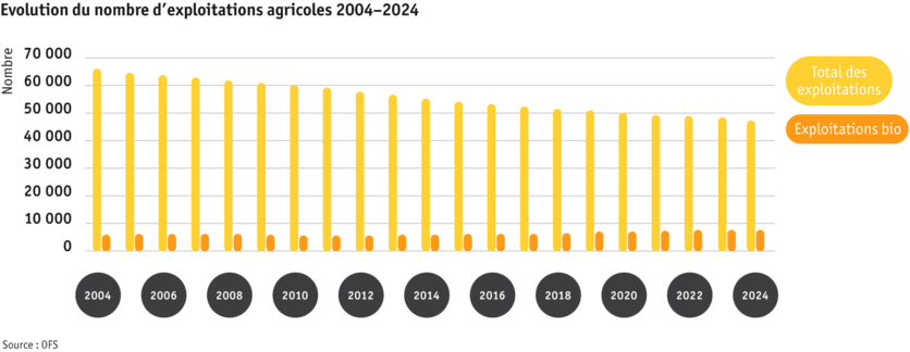 ab2025_betrieb_strukturen_betriebe_grafik_entwicklung-anzahl-betriebe_f.png ab2025_betrieb_strukturen_betriebe_grafik_entwicklung-anzahl-betriebe_f.png