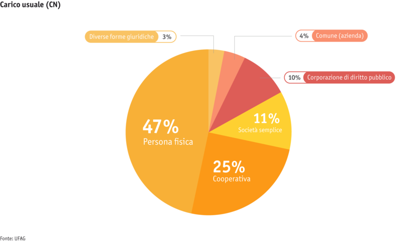ab25-betrieb-strukturen-grafik-rechtsformen-sommerung-i_2.png ab25-betrieb-strukturen-grafik-rechtsformen-sommerung-i_2.png