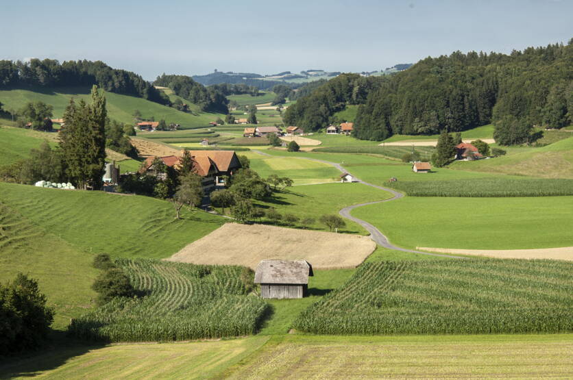 gabriela_brandle_agroscope_maisfeld.jpg gabriela_brandle_agroscope_maisfeld.jpg